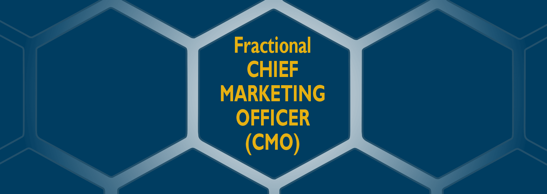 fractional chief marketing officer (CMO) banner